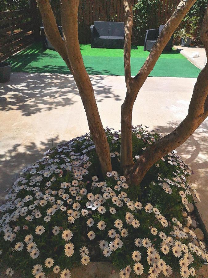 Mondello Sicily House Hotel Ngoại thất bức ảnh